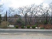 Iron Fence 12